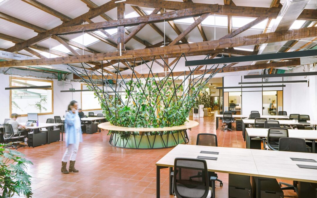 Open Space – Manglar Coworking