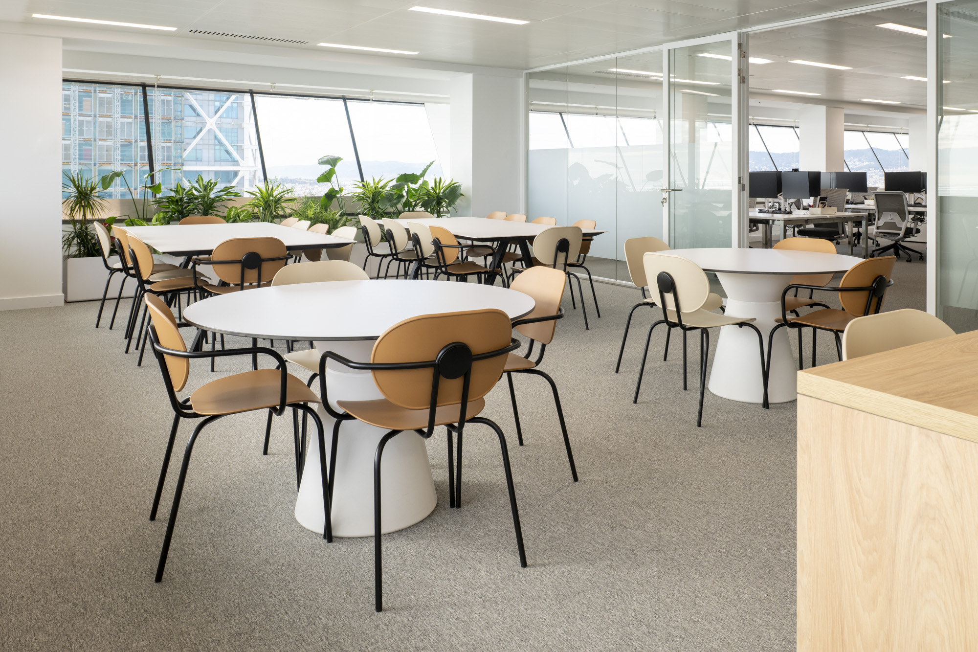 Cantina de Oficina en Torre Mapfre